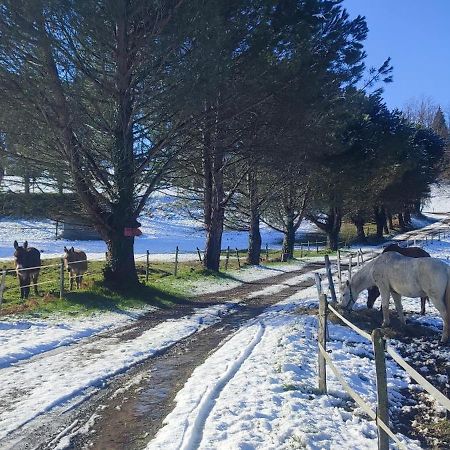 Domaine Le Lanis "Cabane De Pauline" Saint-Girons  Zewnętrze zdjęcie