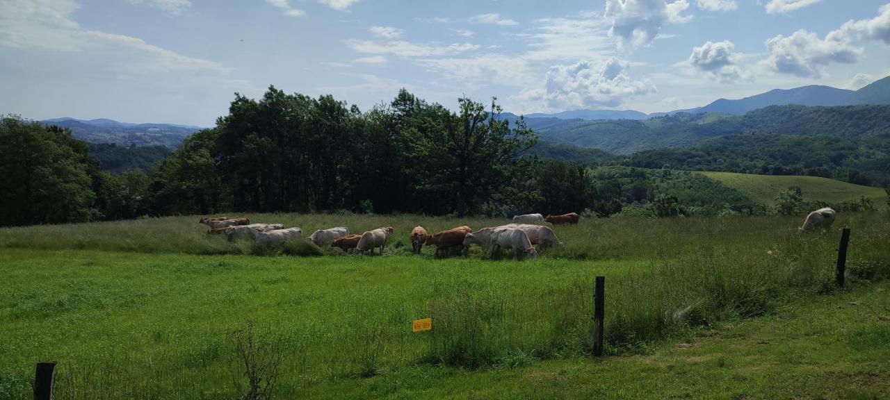 Domaine Le Lanis "Cabane De Pauline" Saint-Girons  Zewnętrze zdjęcie