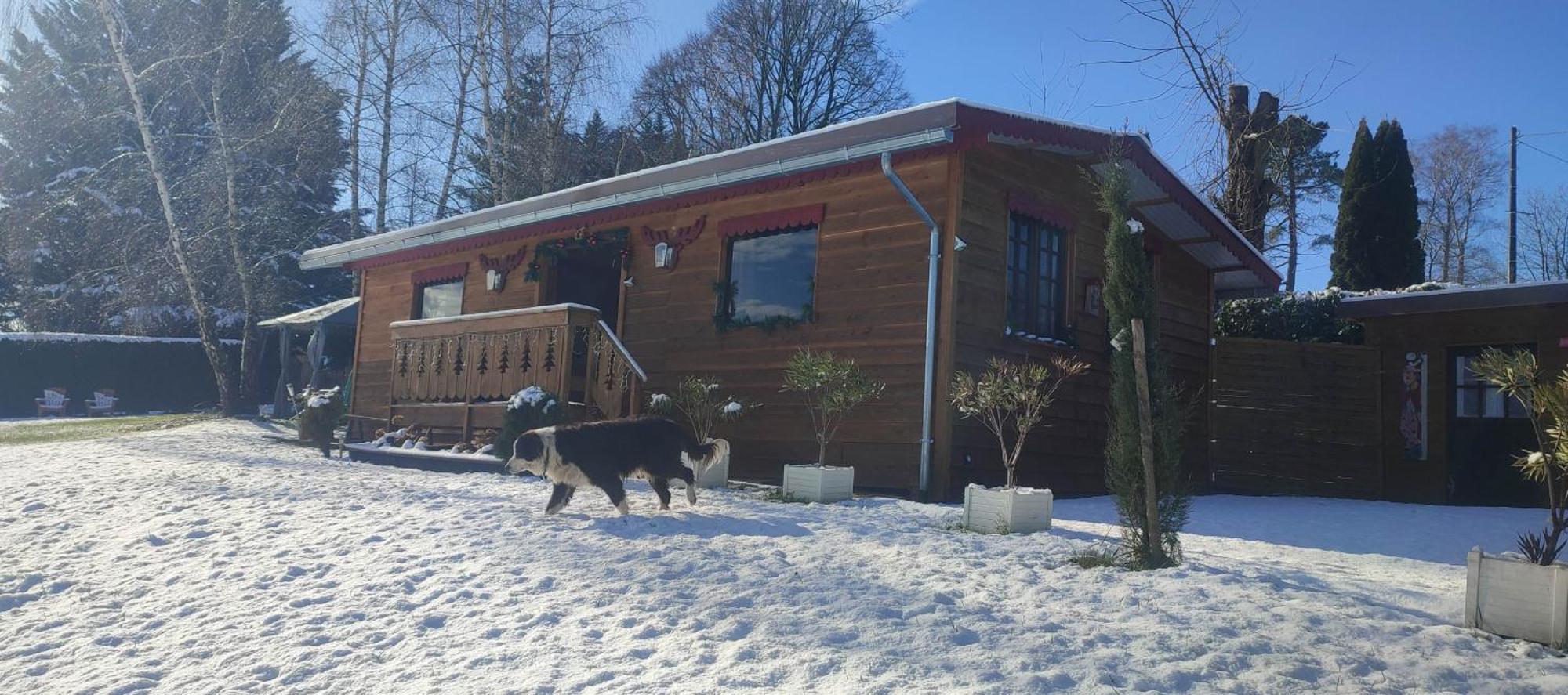 Domaine Le Lanis "Cabane De Pauline" Saint-Girons  Zewnętrze zdjęcie