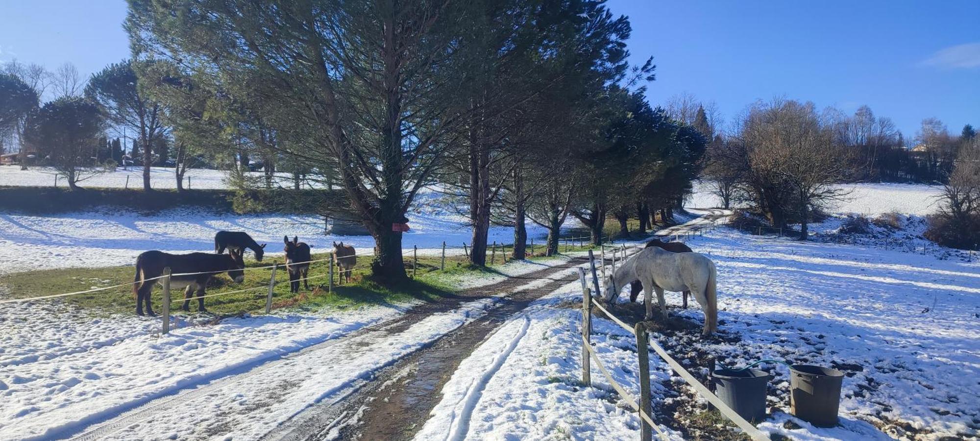 Domaine Le Lanis "Cabane De Pauline" Saint-Girons  Zewnętrze zdjęcie